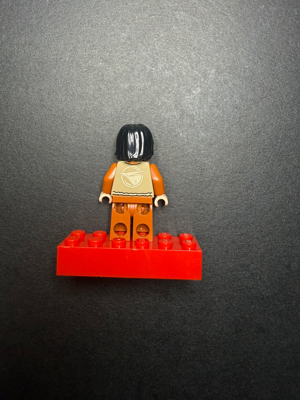 Ezra Bridger Minifigure